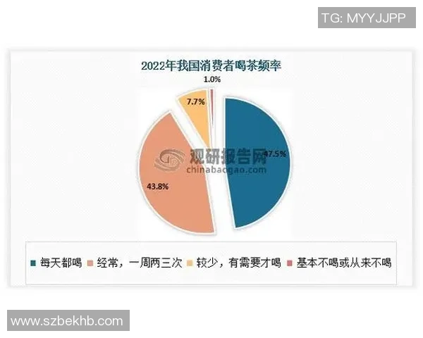 成都羽毛球队近期状态深度对比分析及未来发展趋势探讨